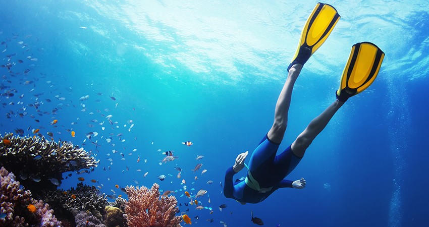 Skin Diving Course