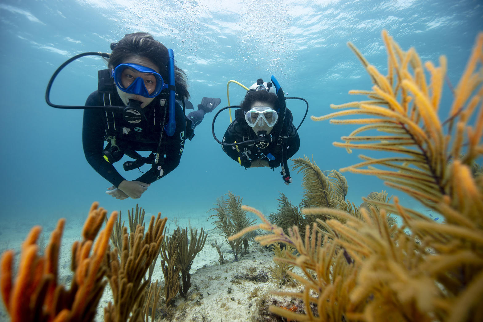 Adventure Diver