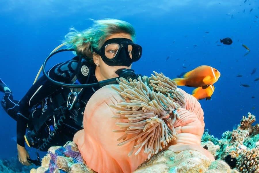 Underwater Naturalist